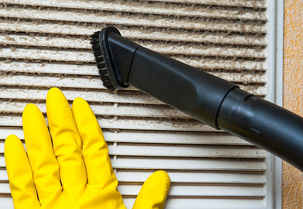 Air Duct Mold Removal in TX